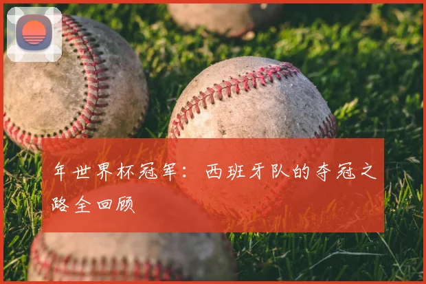年世界杯冠军：西班牙队的夺冠之路全回顾
