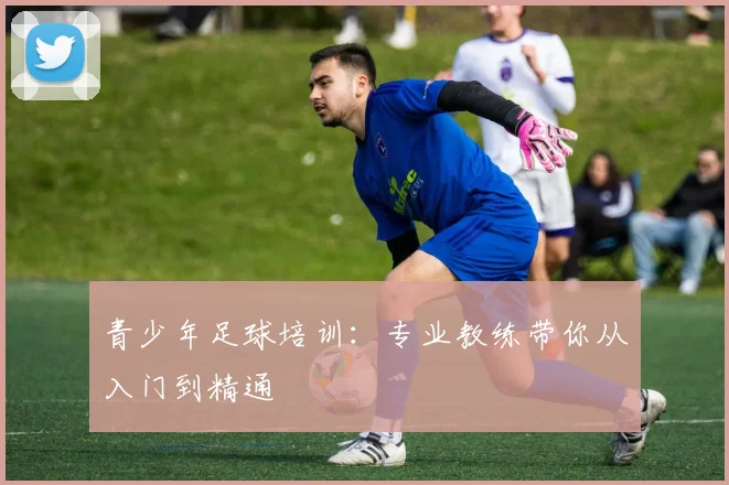 青少年足球培训:专业教练带你从入门到精通